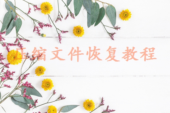 北京數(shù)據(jù)恢復(fù)公司哪家好？專業(yè)選擇指南與避坑建議！