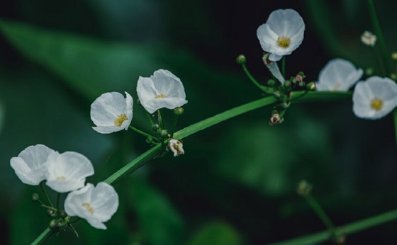 不小心刪掉的照片怎么恢復(fù)？試試這三種常用恢復(fù)方法！