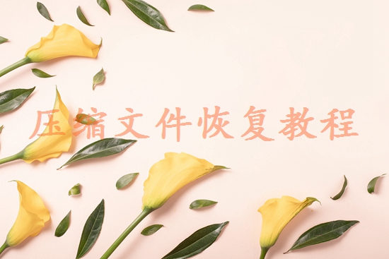 湖南數(shù)據(jù)恢復(fù)哪個公司好？試試這4家恢復(fù)機(jī)構(gòu)！