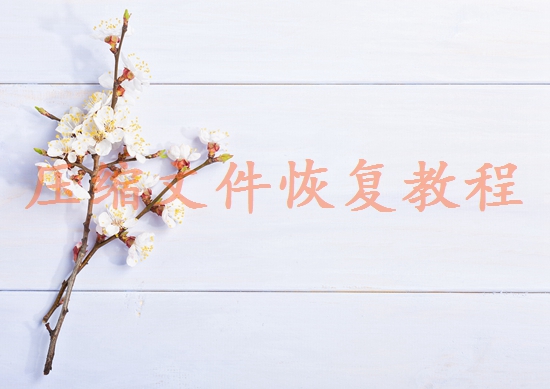 重慶數(shù)據(jù)恢復(fù)公司有哪些？推薦幾個(gè)專業(yè)找回您的寶貴數(shù)據(jù)！