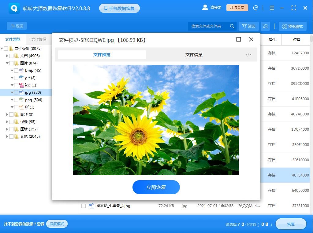 使用專業(yè)的數(shù)據(jù)恢復(fù)軟件步驟四