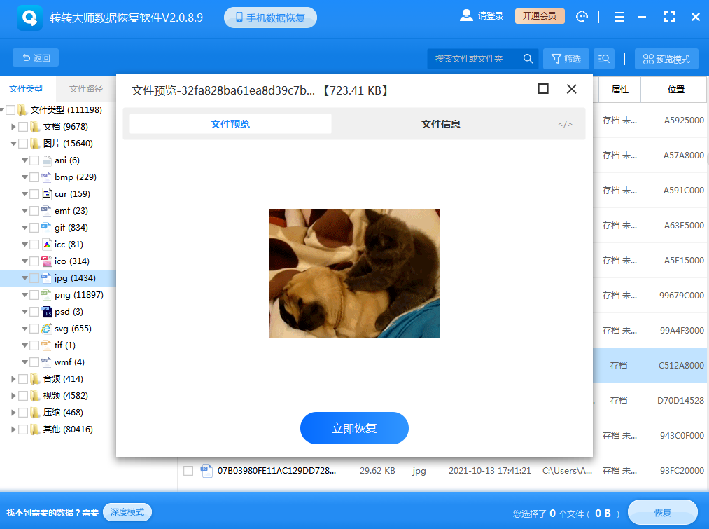 專業(yè)軟件的數(shù)據(jù)恢復(fù)步驟四