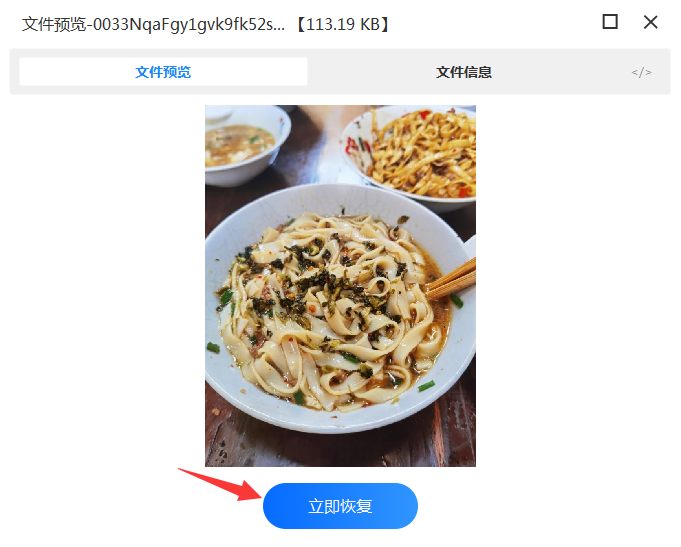 借助專業(yè)數(shù)據(jù)恢復(fù)軟件步驟五