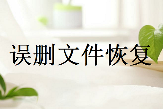 電腦文件誤刪除如何恢復(fù)？誤刪數(shù)據(jù)恢復(fù)，三種方法就可以解決