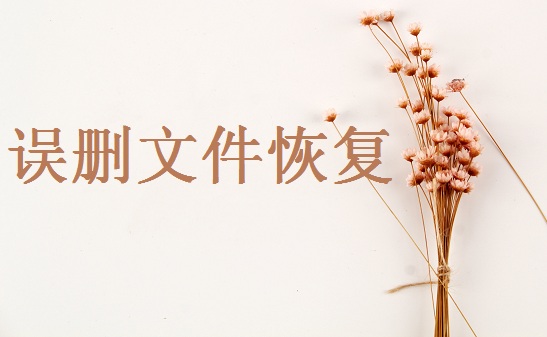 被替換的文件怎么找回？分享4種非常實用的方法給你