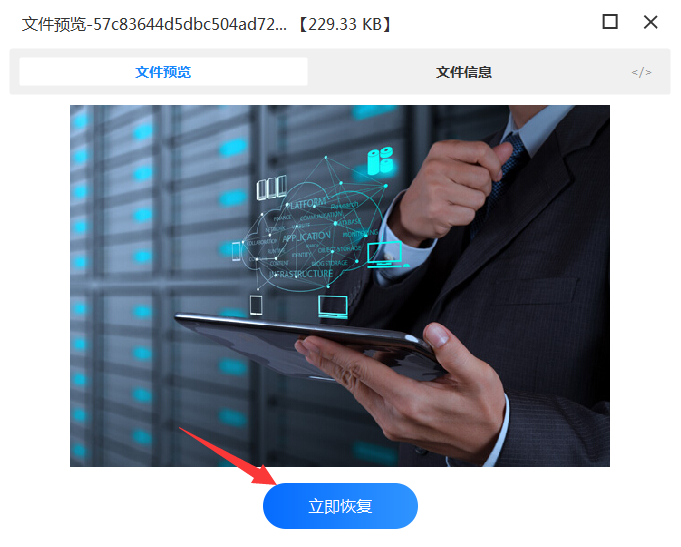 恢復(fù)文件