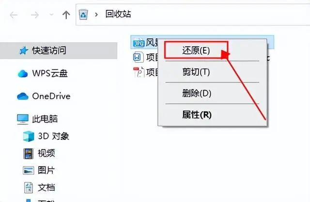 檢查回收站（適用于電腦連接后的刪除）