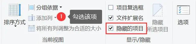 檢查顯示隱藏文件