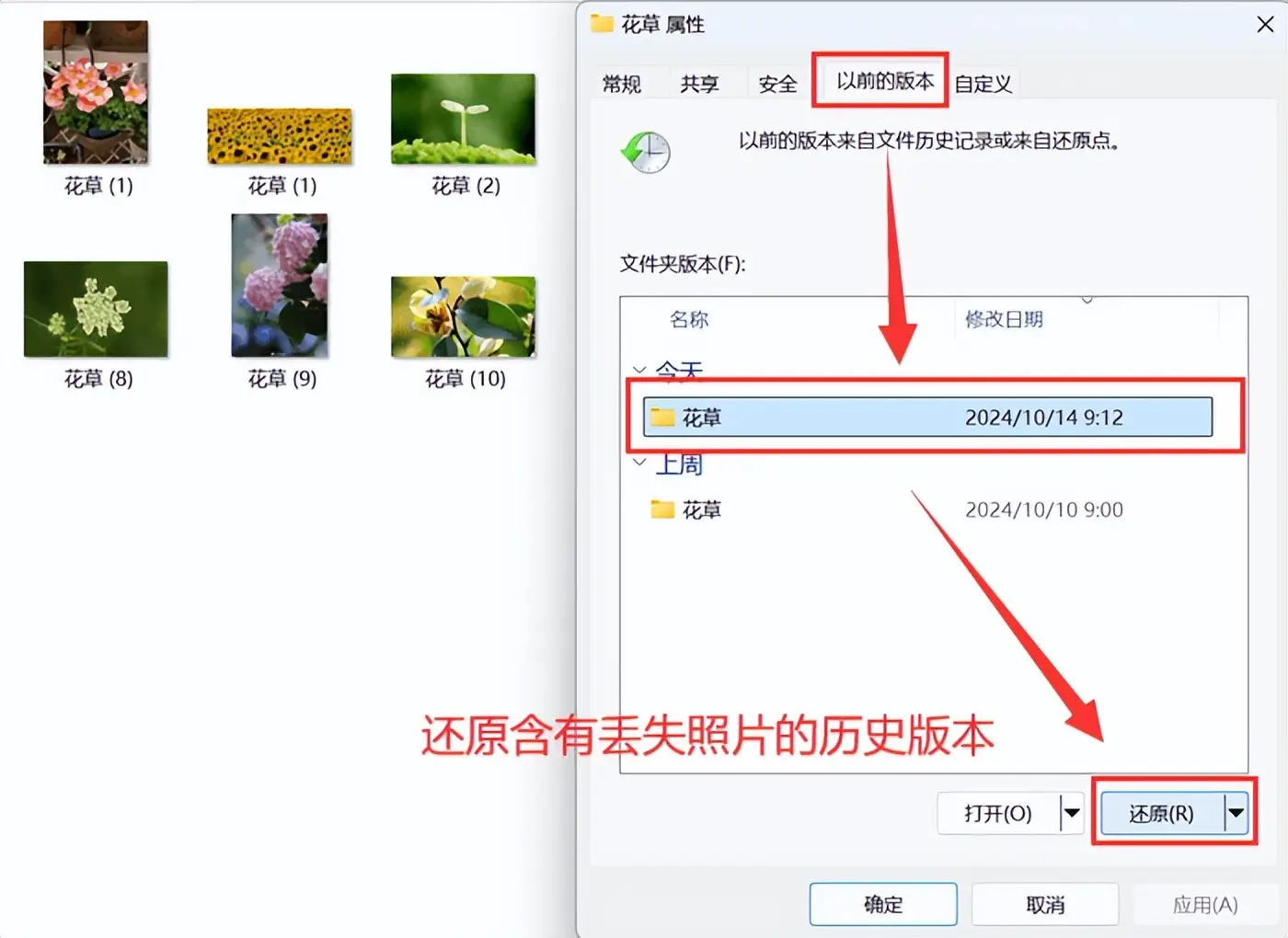 借助以前的版本功能