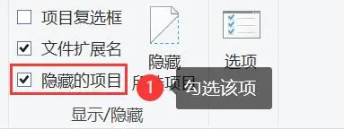 檢查U盤的隱藏文件
