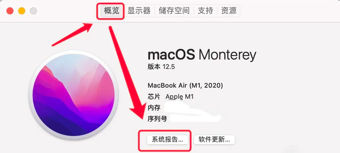 通過系統(tǒng)信息查看（適合Windows/Mac用戶）步驟四