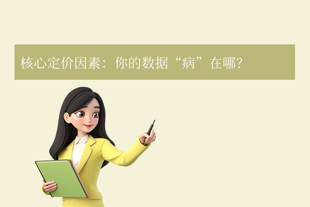 核心定價因素：你的數(shù)據(jù)“病”在哪？