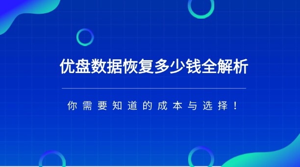 優(yōu)盤(pán)數(shù)據(jù)恢復(fù)多少錢(qián)全解析：你需要知道的成本與選擇！
